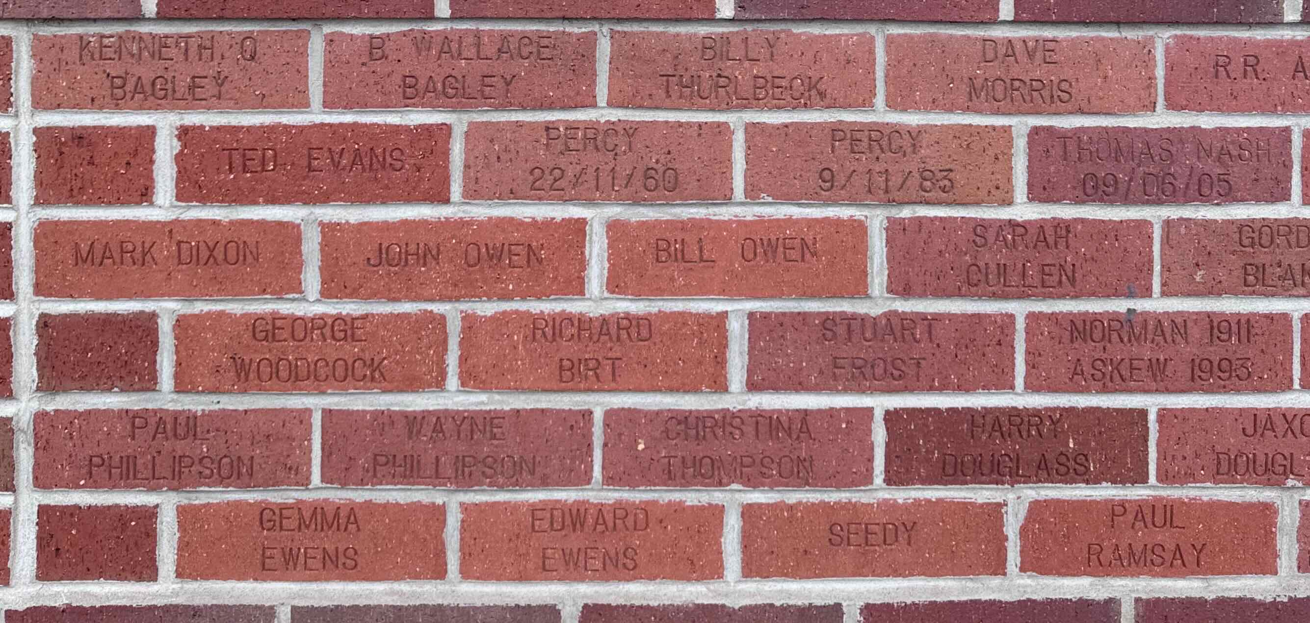 Image of brick for SEEDY