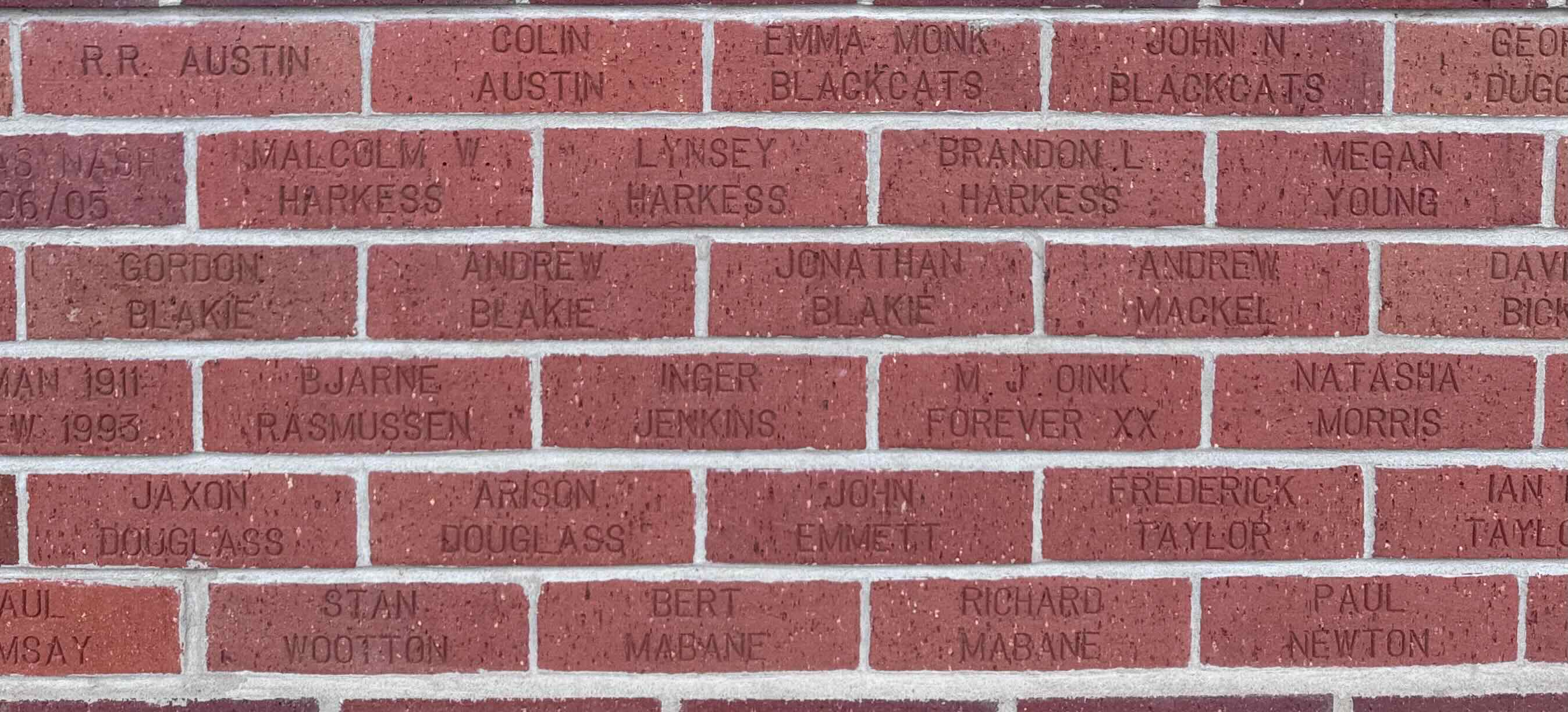 Image of brick for EMMA MONK BLACKCATS