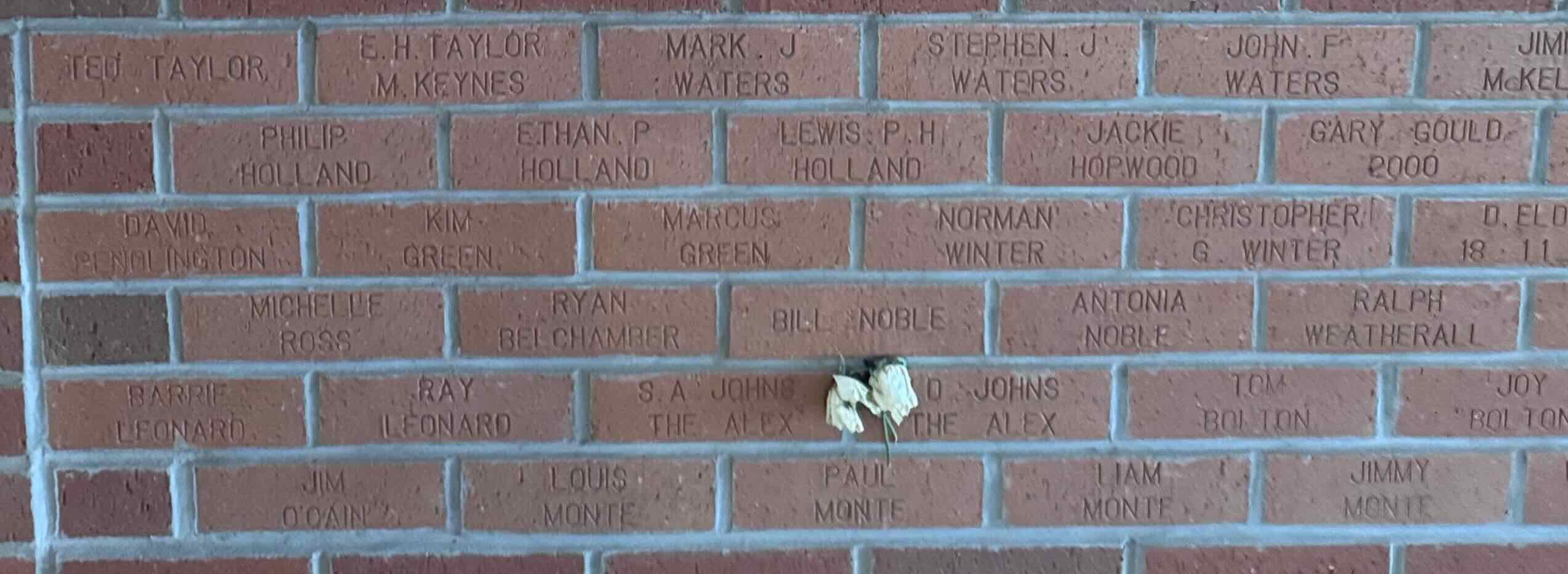Image of brick for ANTONIA NOBLE