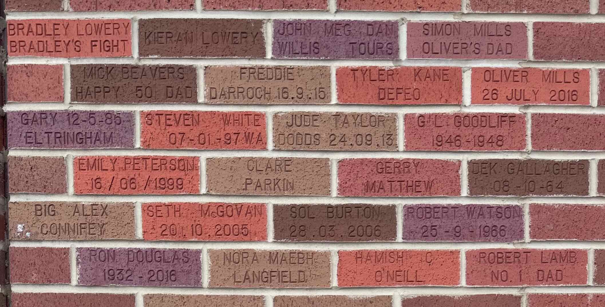 Image of brick for BRADLEY LOWERY BRADLEY'S FIGHT