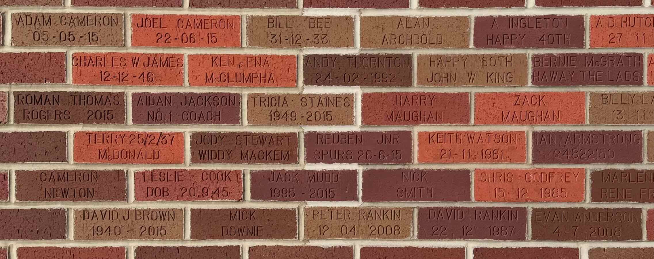 Image of brick for CAMERON NEWTON