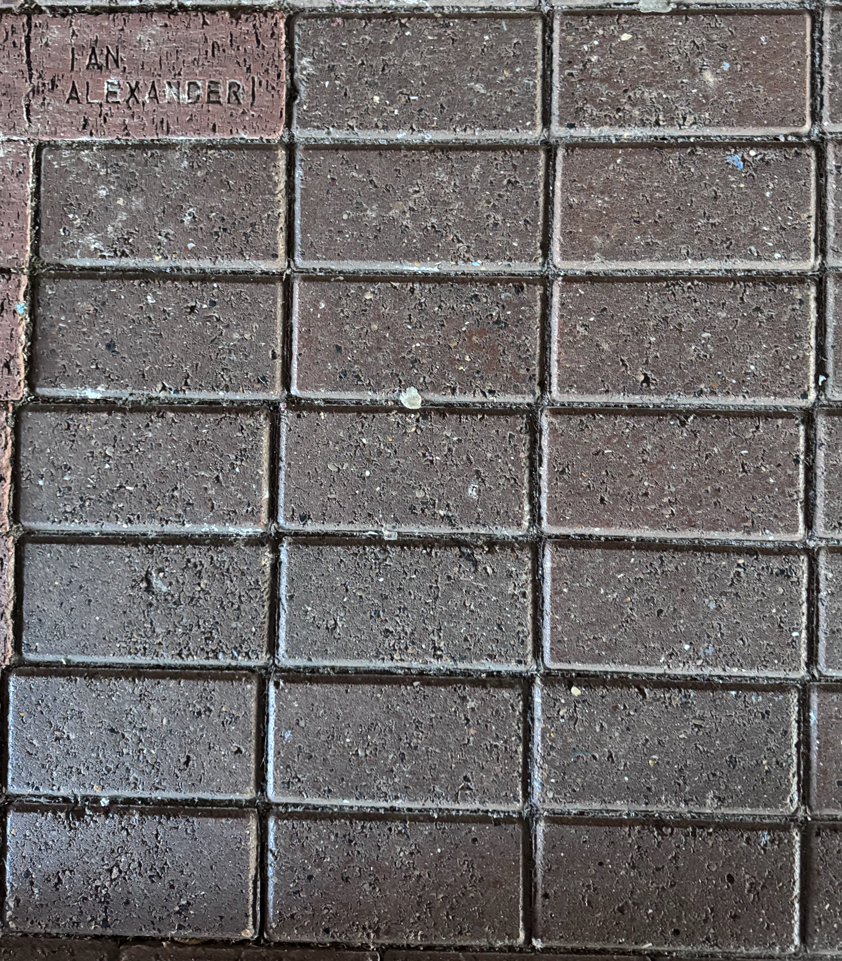 Image of brick for IAN ALEXANDER
